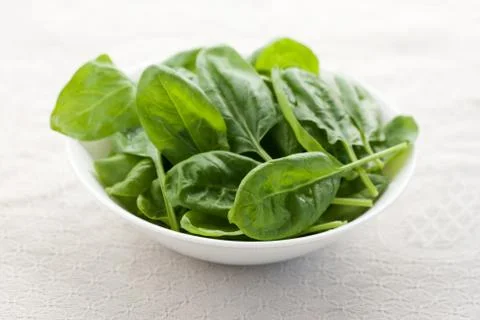 Fresh spinach Stock Photos