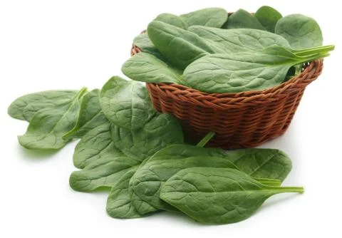 Fresh Spinach Stock Photos