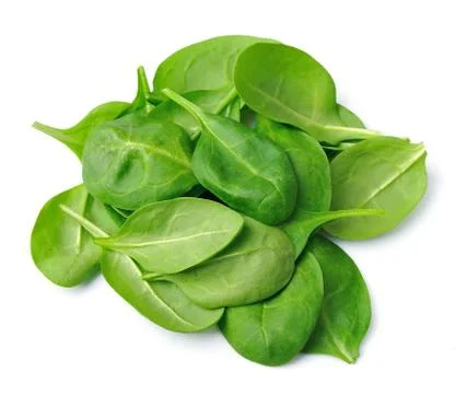 Fresh spinach Stock Photos