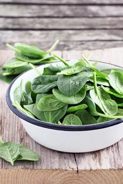 Fresh spinach Stock Photos
