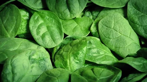 Fresh Spinach Rotating Stock Footage 62082247