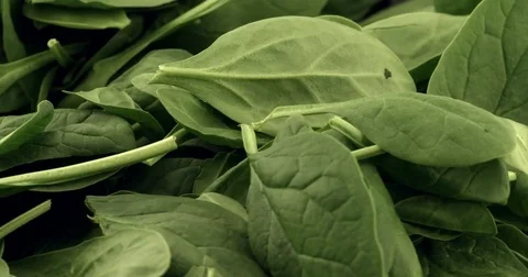 Fresh spinach rotating Stock Footage 82062514