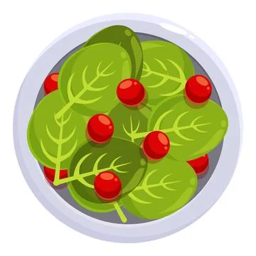 Fresh spinach salad with cherry tomatoes on a plate Stock Illustration
