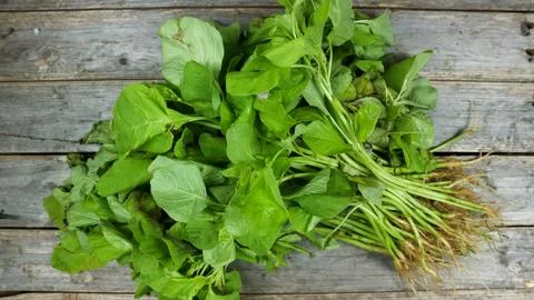 Fresh spinach vegetable on the grey table. Stock Photos