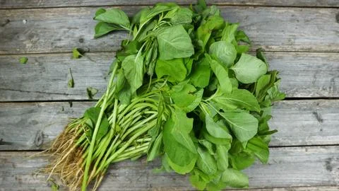 Fresh spinach vegetable on the grey table. Stock Photos