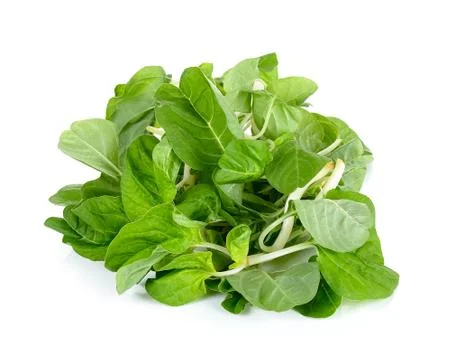 Fresh spinach on white background Stock Photos