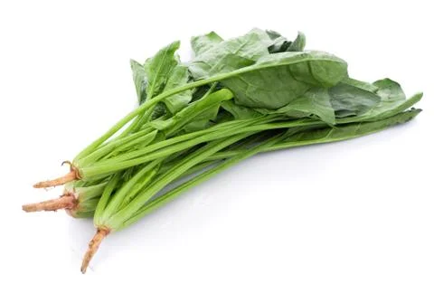 Fresh spinach on white background Stock-Fotos