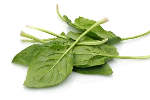 Fresh spinach on white background Stock Photos