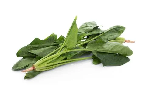 Fresh spinach on white background 写真素材