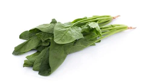 Fresh spinach on white background 写真素材