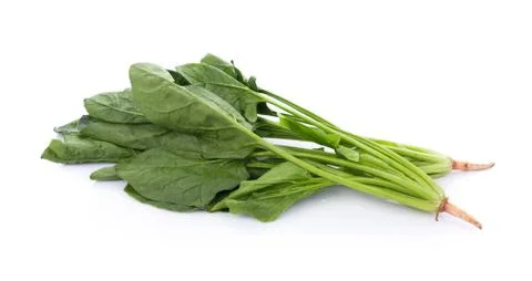 Fresh spinach on white background Fotos de archivo