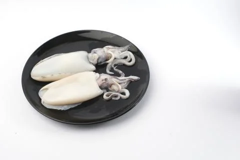Fresh splendid squid. Stock Photos