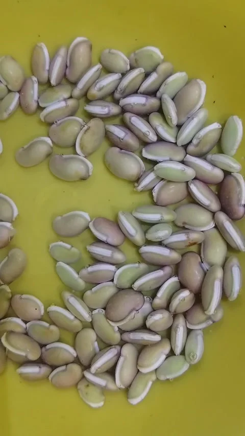 Fresh Split Beans Seeds On Yellow Background, Organic Food Ingredient Stock Footage 328967964
