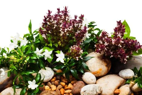 Fresh spring background with clipping path on white background for graphic de Stock Photos