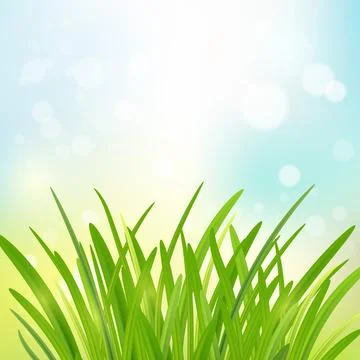 Fresh spring background with grass and sun bokeh, minimal scene for corpora.. Ilustración de archivo
