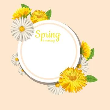 Fresh spring background with grass, dandelions and daisies. Vector, poster Illustrazione stock