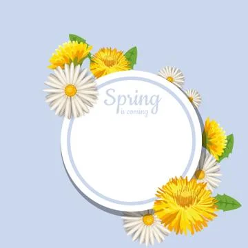 Fresh spring background with grass, dandelions and daisies. Vector, poster Illustrazione stock