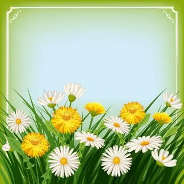 Fresh spring background with grass, dandelions and daisies. Vector, poster Stock Illustration