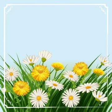 Fresh spring background with grass, dandelions and daisies. Vector, poster Stock Illustration