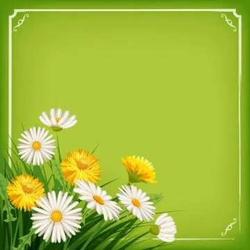 Fresh spring background with grass, dandelions and daisies. Vector, poster Stock Illustration