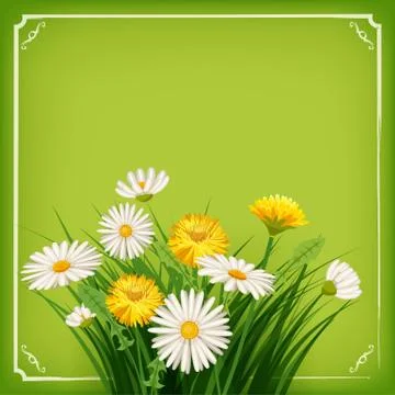 Fresh spring background with grass, dandelions and daisies. Vector, poster Illustrazione stock