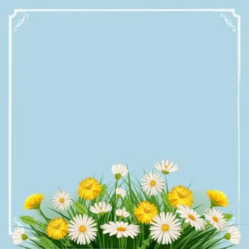 Fresh spring background with grass, flowers dandelions and daisies, template Stock Illustration