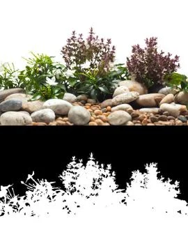 Fresh spring background on white background with alpha channel Stock Photos