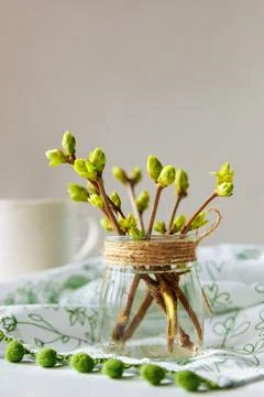 Fresh spring branches in jar with coffee cup on patterned fabric Stock Photos