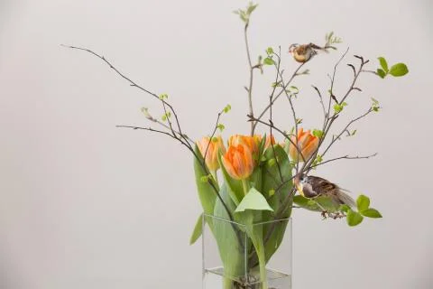 Fresh spring bunch of orange tulips and green leaves and two small birds in n Stock Photos