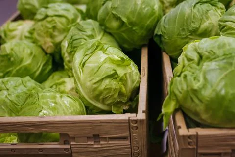 Fresh spring cabbage on counter, vegetable department in grocery store Stock Photos