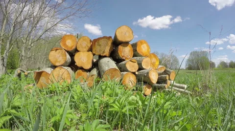 Fresh spring firewood stack and clouds motion. Timelapse 4K Stock Footage 49670627