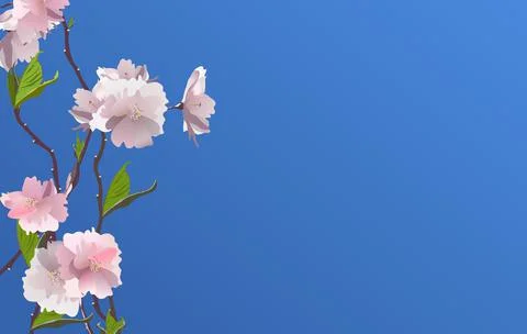 Fresh spring flowers background with frame. Soft abstract. Stock Illustration