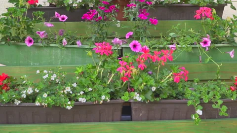 Fresh spring flowers Video stock 144455636