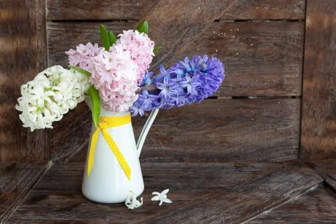 Fresh spring flowers Stock Photos