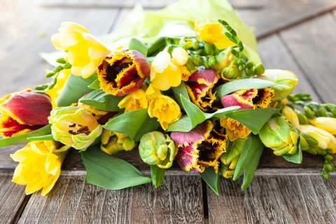 Fresh spring flowers Stock Photos