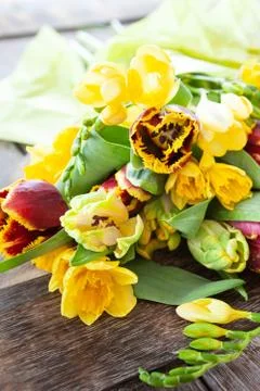 Fresh spring flowers Stock Photos