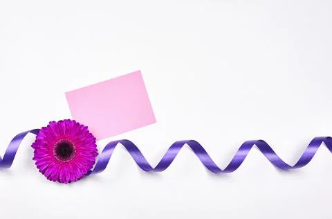 Fresh spring flowers Stock Photos