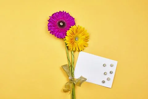Fresh spring flowers Stock Photos