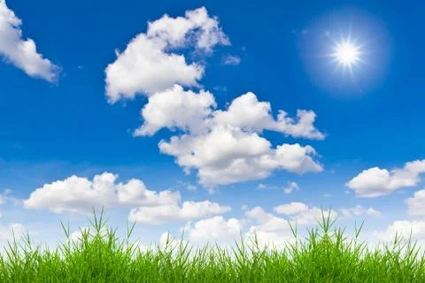 Fresh spring green grass against blue sky Stock Photos