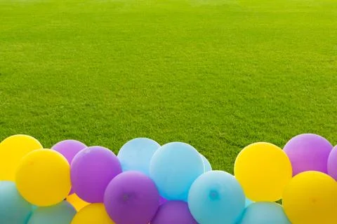 Fresh spring green grass Stock Photos