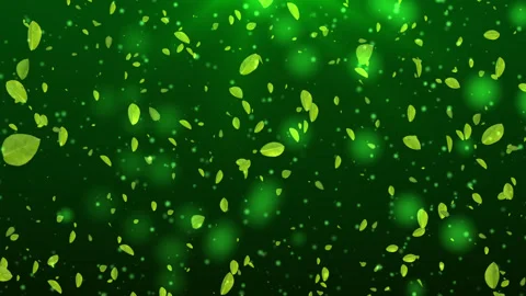 Fresh spring green leaves background Stock Footage 307935495