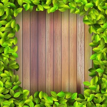 Fresh spring leaf plant over wood. + EPS10 Stock Illustration