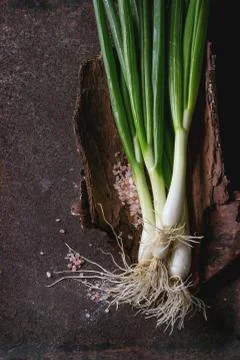 Fresh spring onion bundle Stock Photos