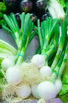 Fresh spring onions Photos