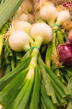 Fresh spring onions Photos