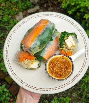 Fresh Spring Rolls with Peanut Sauce on Plate Stockfoto's
