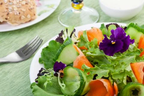 Fresh spring salad Stock Photos