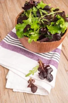 Fresh spring salad Stock Photos