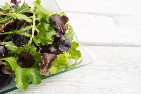 Fresh spring salad Stock Photos