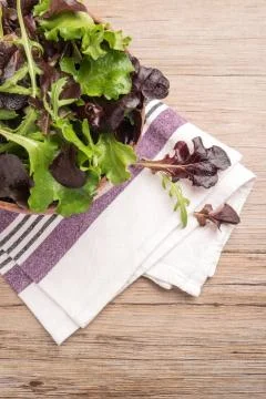 Fresh spring salad Stock Photos